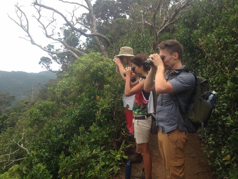 How To Use Binoculars | Gulo In Nature