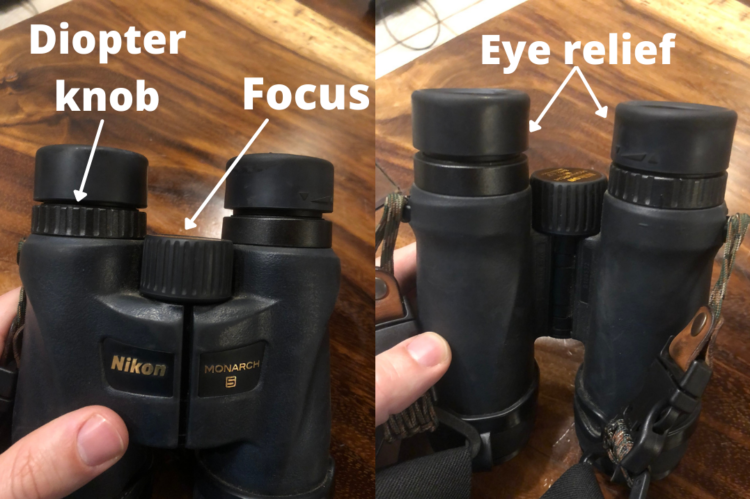 How to store use a binocular