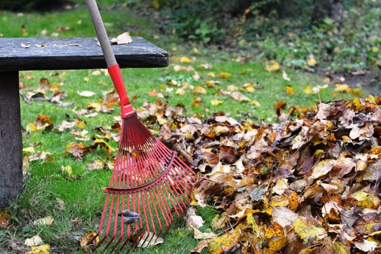 Rake g90c17ac42