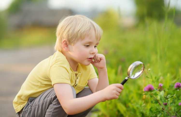 The best magnifying glass for curious eyes in 2024 - BBC Science