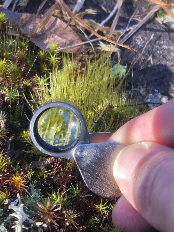 How Do Magnifying Glasses Work?