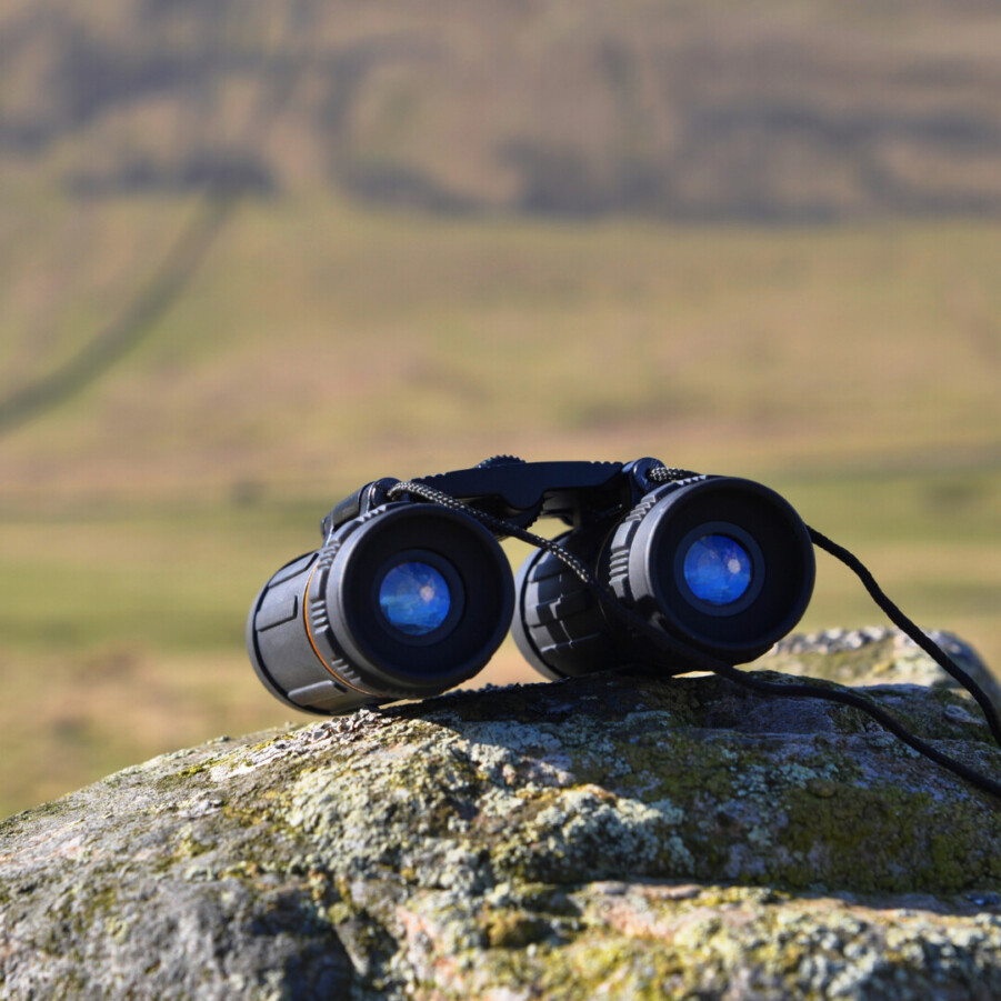 Binocular coverart