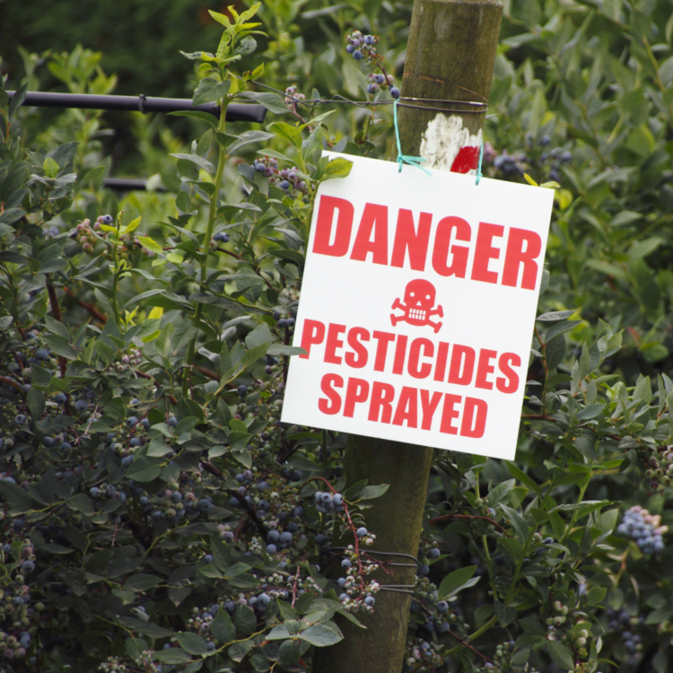 Natural Gardening