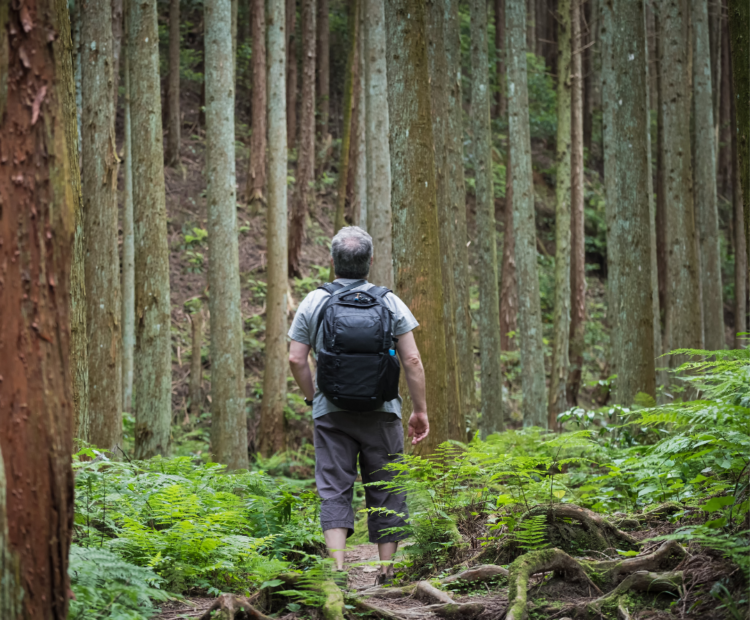 being outside boosts brain power 