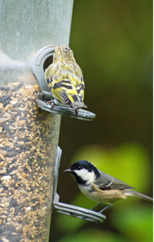 Natural Gardening