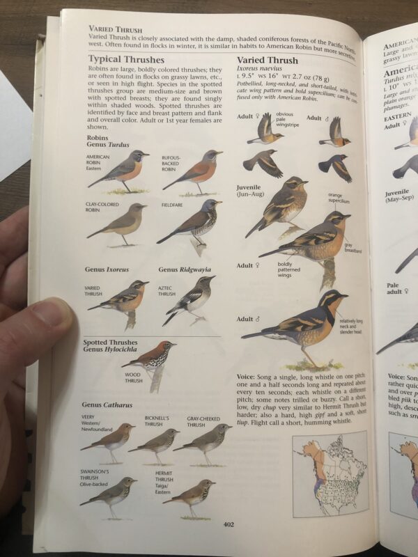 field guides birds North America