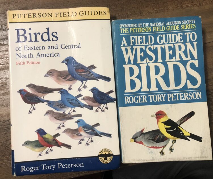 field guides birds North America