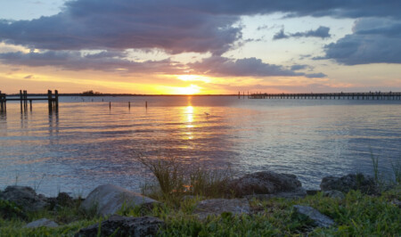 nature in florida
