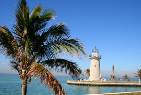 nature in florida