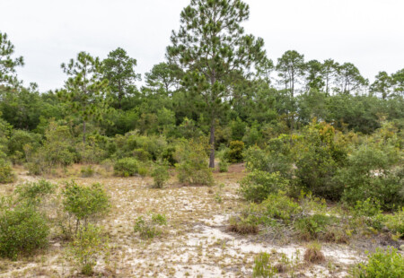 amazing nature trips in Florida