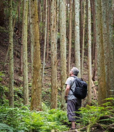 Forest bathing