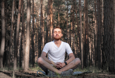 Forest bathing