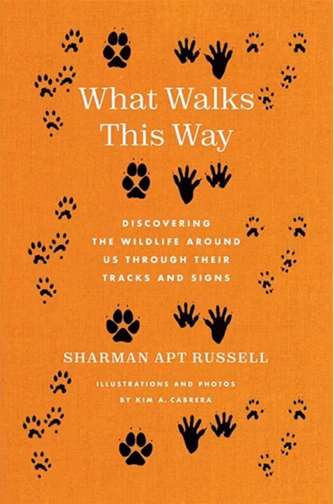 Whatwalksthisway